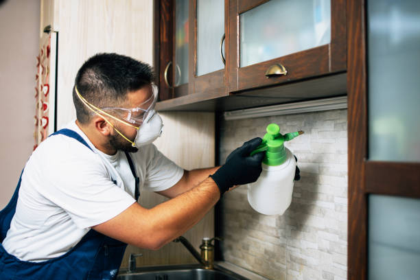 Best Affordable Pest Control Services  in Brookneal, VA