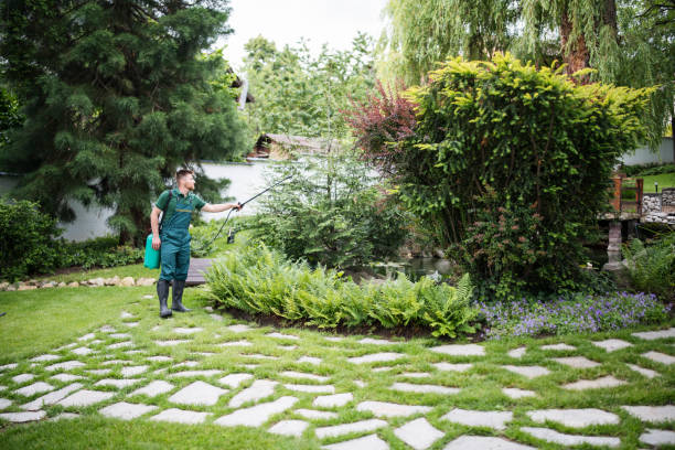 Best Ant Control Services  in Brookneal, VA