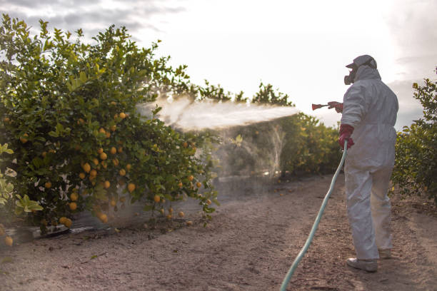 Best Cockroach Control Services  in Brookneal, VA