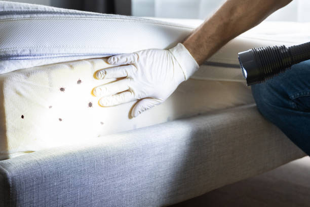 Best Best Pest Control Companies  in Brookneal, VA