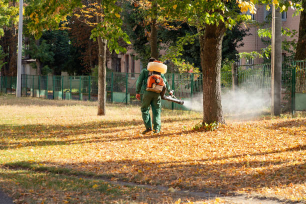 Best Flea Control Services  in Brookneal, VA