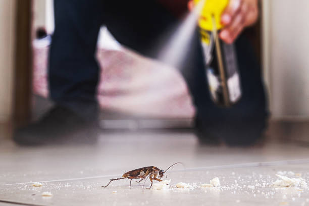 Best Best Pest Control Companies  in Brookneal, VA