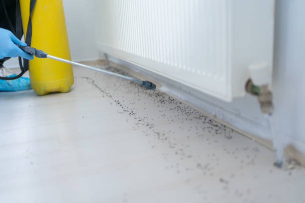 Best Emergency Pest Control  in Brookneal, VA